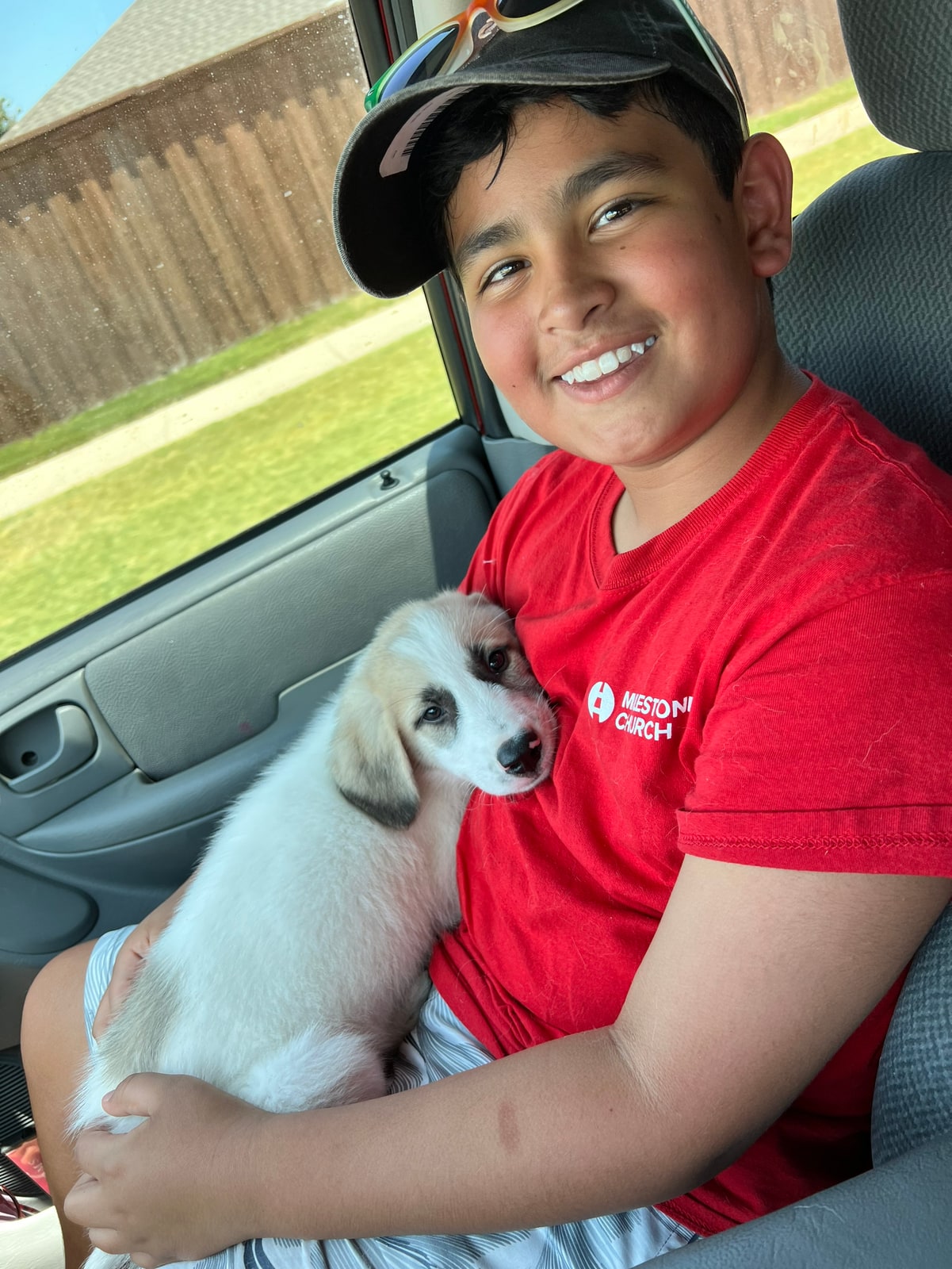 Milo and Odin — first days together in the car