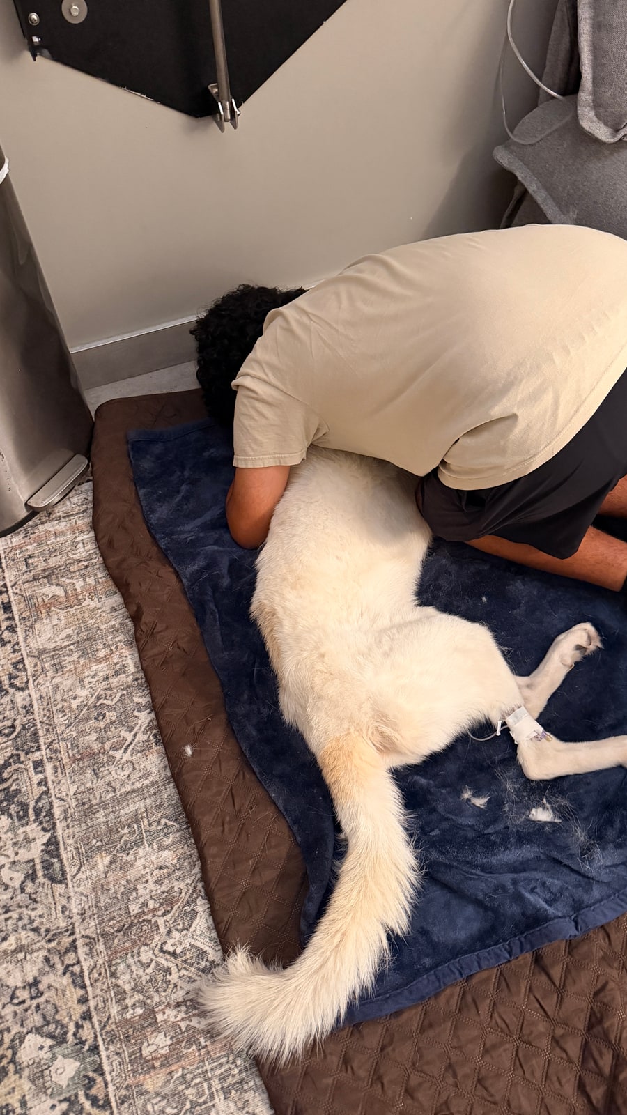 Milo holding Odin close in goodbye